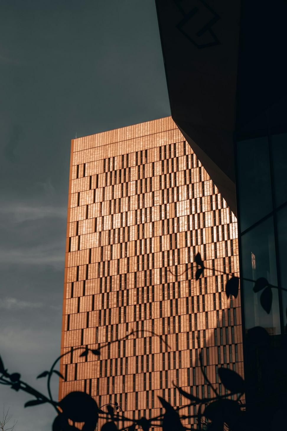 Mass Timber Innovation Centre