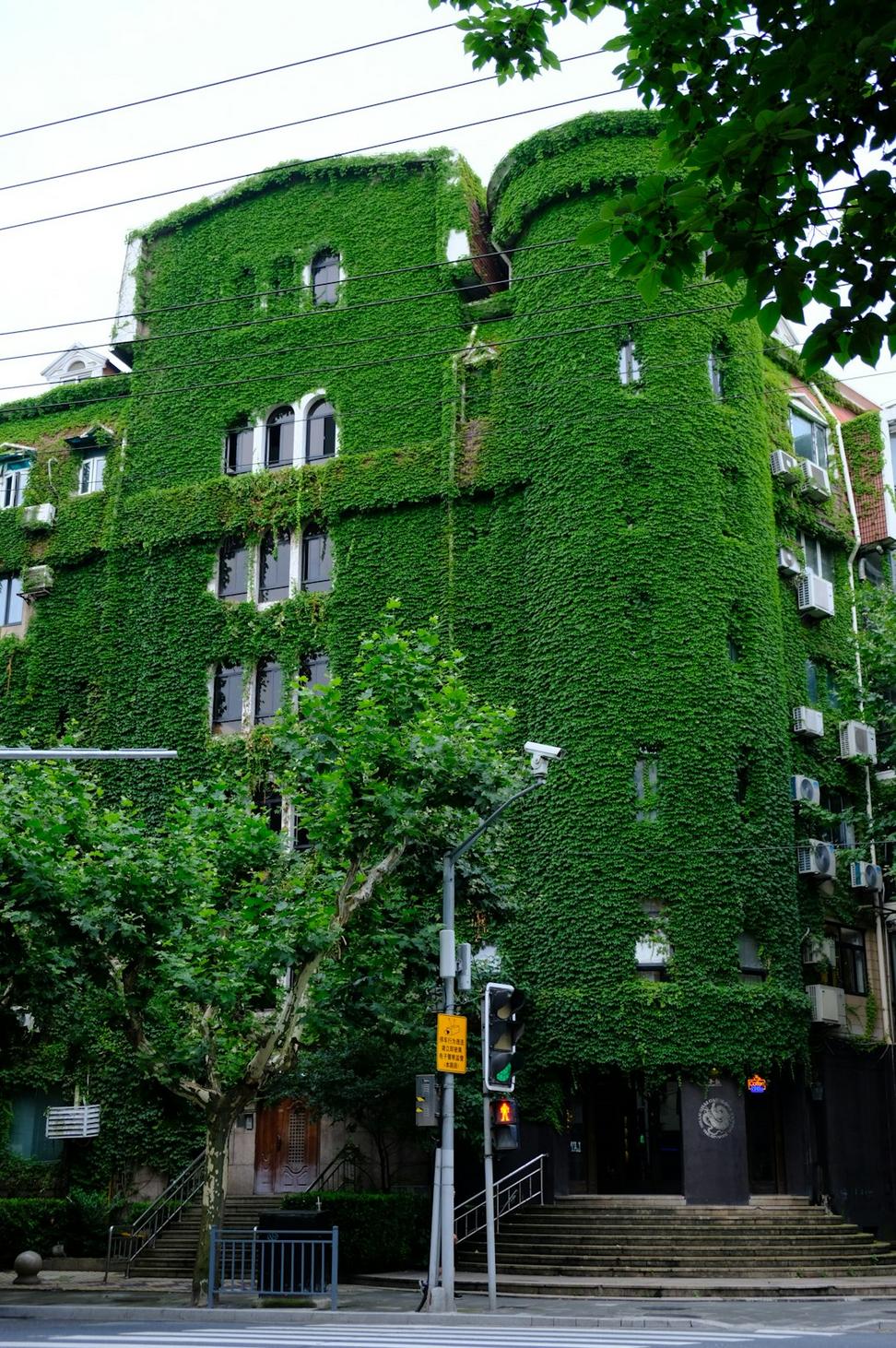 Green roof implementation