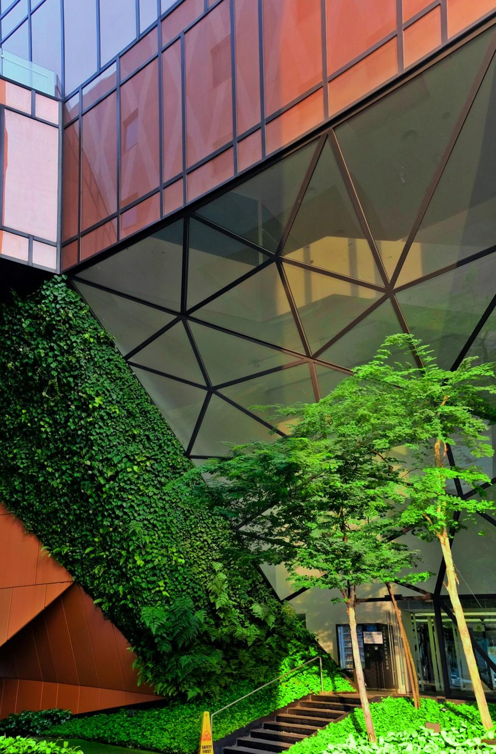 Green Roof